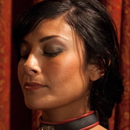 Beretta James in 'Kink' Community Dinner:Table Service (Thumbnail 2)