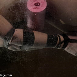 Bobbi Starr in 'Kink' Bobbi Starr (Thumbnail 4)