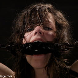 Bobbi Starr in 'Kink' Bobbi Starr (Thumbnail 11)