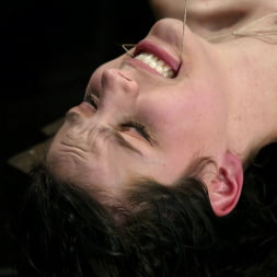 Bobbi Starr in Bobbi Starr (Photo 11) Bobbi Starr in 'Kink' Bobbi Starr (Thumbnail 11)