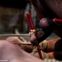 Bobbi Starr in 'Kink' Fresh Meat: Episode 2 Thank You Mistress Bobbi (Thumbnail 5)