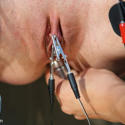 Bobbi Starr en 'Kink' Los piercings con alambre son sinónimo de mucho dolor (Miniatura 12)