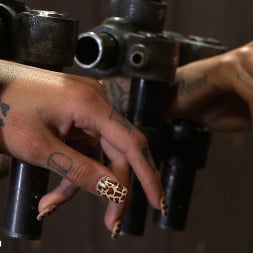 Bonnie Rotten en 'Kink' - Tamed Whore By JP (Miniatura 1)