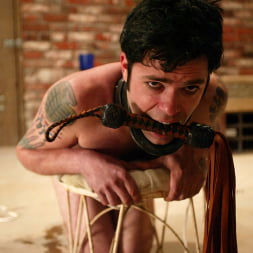 Brandon en 'Kink' and Kym Wilde (Miniatura 14)