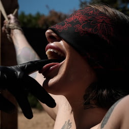 Brenna McKenna in 'Kink' Tethered and Weathered (Thumbnail 3)