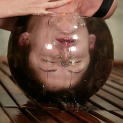 Brooke Bound in Brooke Bound (Photo 9) Brooke Bound in 'Kink' Brooke Bound (Thumbnail 9)
