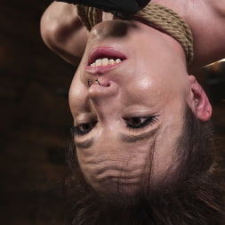 Brooke Johnson en 'Kink' La esclavitud brutal de Brooke (Miniatura 14)