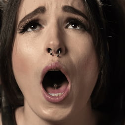 Brooke Johnson en 'Kink' Brooke Johnson: Tormento y placer extremos (Miniatura 8)