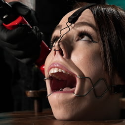 Brooke Johnson en 'Kink' Pain Piggy quiere más (Miniatura 3)