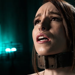 Brooke Johnson en 'Kink' Pain Piggy quiere más (Miniatura 8)