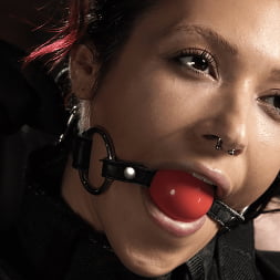 Brooklyn Gray in 'Kink' Brooklyn Gray: Pain Slut Extraordinaire (Thumbnail 2)
