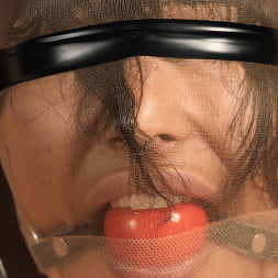 Brooklyn Gray in Brutal Bondage and Grueling Domination of Brooklyn Gray (Photo 9) Brooklyn Gray in 'Kink' Brutal Bondage and Grueling Domination of Brooklyn Gray (Thumbnail 9)