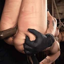 Brooklyn Gray in Brutal Bondage and Grueling Domination of Brooklyn Gray (Photo 24) Brooklyn Gray in 'Kink' Brutal Bondage and Grueling Domination of Brooklyn Gray (Thumbnail 24)