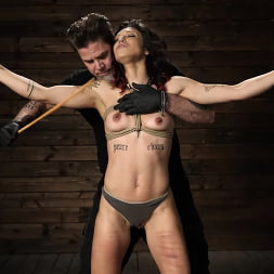 Brooklyn Gray in EXTREME BONDAGE AND TORMENT!! (Photo 8) Brooklyn Gray in 'Kink' EXTREME BONDAGE AND TORMENT!! (Thumbnail 8)