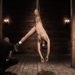 Brooklyn Gray in School of Submission, Day Four: Brooklyn Gray (Photo 1) Brooklyn Gray in 'Kink' School of Submission, Day Four: Brooklyn Gray (Thumbnail 1)