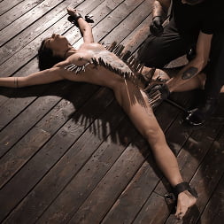 Brooklyn Gray in School of Submission, Day Four: Brooklyn Gray (Photo 22) Brooklyn Gray in 'Kink' School of Submission, Day Four: Brooklyn Gray (Thumbnail 22)