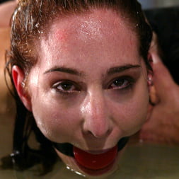 Calico in 'Kink' Calico (Thumbnail 6)