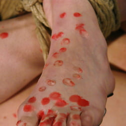 Calico in Calico (Photo 12) Calico in 'Kink' Calico (Thumbnail 12)