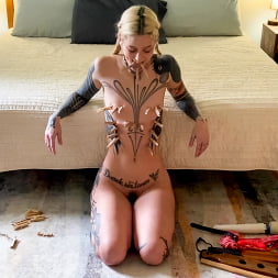 Cam Damage en 'Kink' Daños en la cámara: comodidades para las criaturas (Miniatura 5)