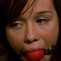 Capri Anderson in - The Brand New Girl (Photo 9) Capri Anderson in 'Kink' - The Brand New Girl (Thumbnail 9)