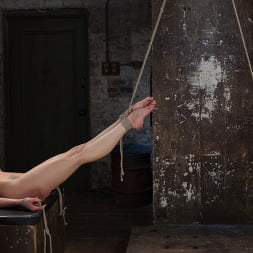 Casey Calvert en 'Kink' Casey y Dahlia sufren juntas en brutal esclavitud (Miniatura 8)