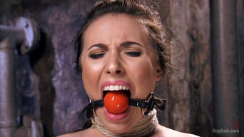 Casey Calvert en 'Tough as Nails'
