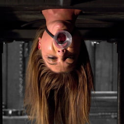 Cassandra Nix in No Holds - Cassandra Nix (Photo 2) Cassandra Nix in 'Kink' No Holds - Cassandra Nix (Thumbnail 2)