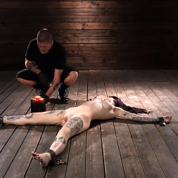 Charlotte Sartre in Charlotte Sartre: Extreme Bondage (Photo 28) Charlotte Sartre in 'Kink' Charlotte Sartre: Extreme Bondage (Thumbnail 28)