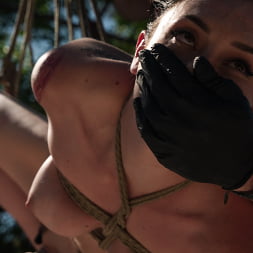 Charlotte Sins in Bound in the Sun (Photo 17) Charlotte Sins in 'Kink' Bound in the Sun (Thumbnail 17)