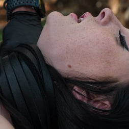 Charlotte Sins in Bound in the Sun (Photo 21) Charlotte Sins in 'Kink' Bound in the Sun (Thumbnail 21)