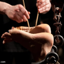 Chastity Lynn in 'Kink' - Cum Begging Cunt - Live Show Part 1 (Thumbnail 6)