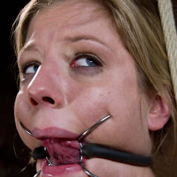 Chastity Lynn in 'Kink' Run Through Her Paces! (Thumbnail 3)