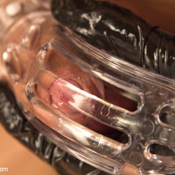 Cherry Torn in 'Kink' If you don't keep your hands off your cock I will do it for you! (Thumbnail 10)