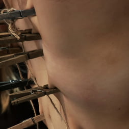 Chloe Camilla in Super cute blond is tormented, cloths pins on her body are ripped off, made to cum over and over!! (Photo 16) Chloe Camilla in 'Kink' Super cute blond is tormented, cloths pins on her body are ripped off, made to cum over and over!! (Thumbnail 16)