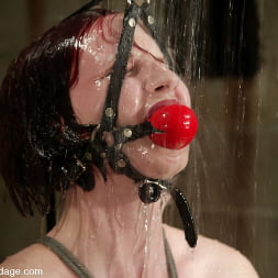 Claire Adams in 'Kink' Claire Adams (Thumbnail 1)
