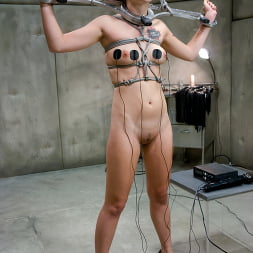 Claire Adams in 'Kink' New comer Sarah Wolfe (Thumbnail 14)