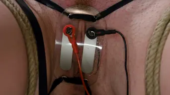 Claire Adams in 'Trinity Post returns to Wiredpussy for an explosive update with Claire Adams'