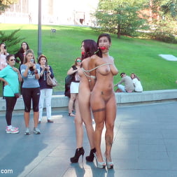 Coral Joice in 'Kink' EVERY Slave Pussy Disgraced in Public European Fuckfest! (Thumbnail 22)