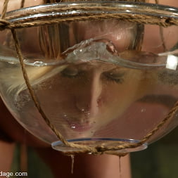 Crystal Frost in 'Kink' Crystal Frost (Thumbnail 11)