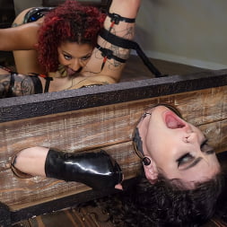Daisy Ducati in Afraid and Horny: Daisy Ducati and Lydia Black (Photo 13) Daisy Ducati in 'Kink' Afraid and Horny: Daisy Ducati and Lydia Black (Thumbnail 13)