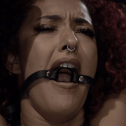 Daisy Ducati in 'Kink' Asphalt Island, Part 2: Daisy Ducati and Ruckus (Thumbnail 9)