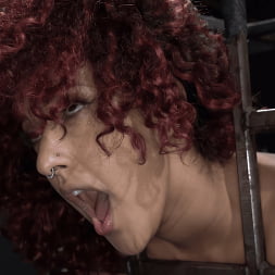 Daisy Ducati in 'Kink' Asphalt Island, Part 2: Daisy Ducati and Ruckus (Thumbnail 14)
