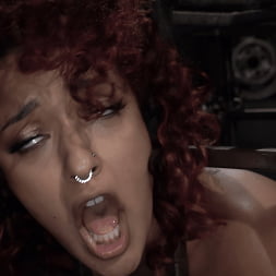 Daisy Ducati in 'Kink' Asphalt Island, Part 2: Daisy Ducati and Ruckus (Thumbnail 16)