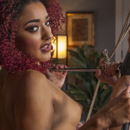 Daisy Ducati en 'Kink' ¡Ahógate en mi chorro, esclavo! (Miniatura 19)