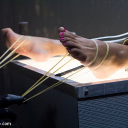 Daisy Ducati in 'Kink' Slut on Display (Thumbnail 10)