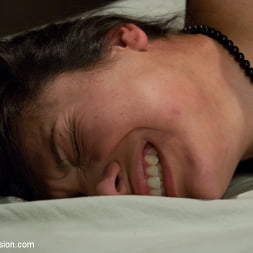 Dana Vixen in 'Kink' The Mule (Thumbnail 11)