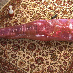 Daisy Ducati in 'Kink' Mummification Bondage Play (Thumbnail 13)