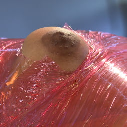 Daisy Ducati in 'Kink' Mummification Bondage Play (Thumbnail 14)