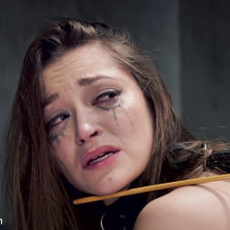 Dani Daniels en 'Kink' Entrenamiento con bastón de Dani Daniels, tercer día (Miniatura 12)
