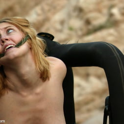 Dee Williams in 'Kink' Cabo, the Return. Part 6 (Thumbnail 2)